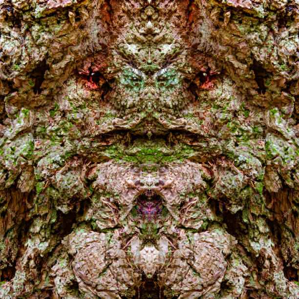 abstract image series - faces in nature - artist art artists canvas human eye imagens e fotografias de stock