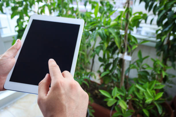 istock Young caucasian man hand on digital tablet computer in botanical garden. Modern farming and technology in agriculture concept. 1219716679