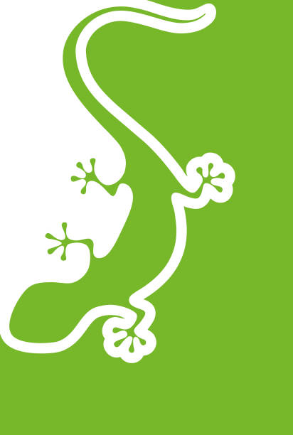 illustrations, cliparts, dessins animés et icônes de lézard vert de silhouette - reptile