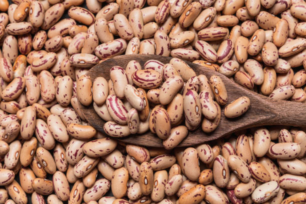 dried cranberry beans on a rustic wooden spoon dried cranberry beans on a rustic wooden spoon healthy eating red above studio shot stock pictures, royalty-free photos & images