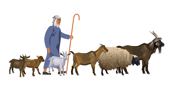 Shepherd with a herd of goats and sheep. Vector illustration isolated on white background