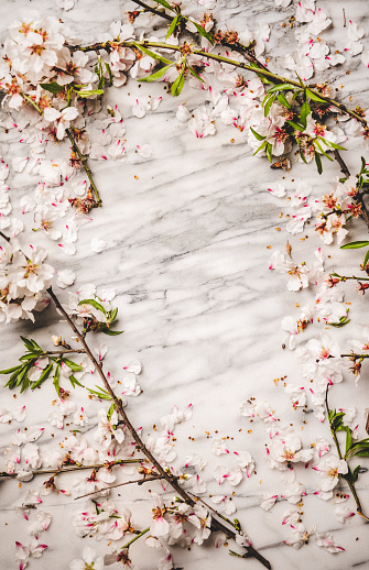 Spring texture, wallpaper and background. Flat-lay of white spring blossom flowers over white marble background, top view, copy space