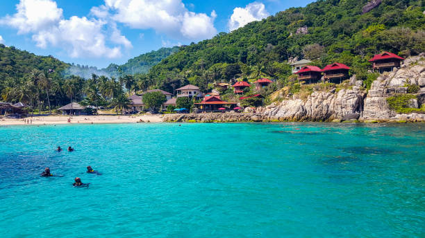 Ao Leuk Beach, Koh Tao, Thailand In January 2016, a group of tourists was diving in Ao Leuk Beach, Koh Tao, Thailand koh tao stock pictures, royalty-free photos & images