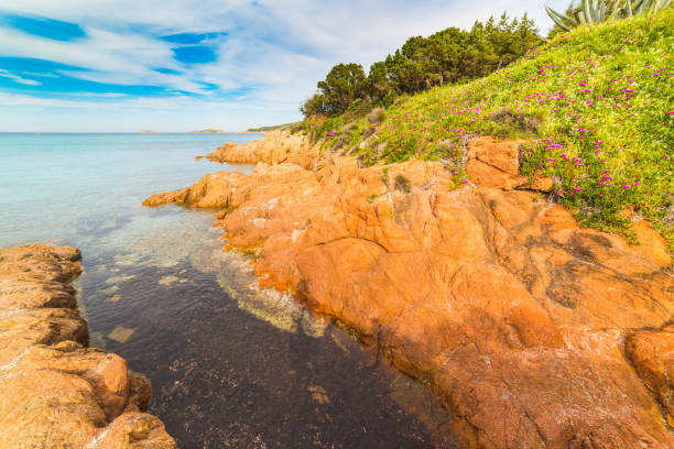 Rocky shore in Piccolo Pevero beach Rocky shore in Piccolo Pevero beach. Sardinia, Italy piccolo stock pictures, royalty-free photos & images