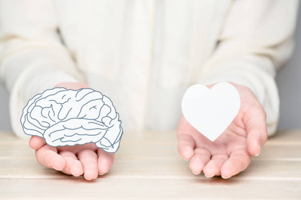 las manos femeninas sosteniendo papel cortan cerebro y alma. conflicto entre emociones y pensamiento racional. equilibrio y equilibrio entre el concepto de mente y corazón - totter fotografías e imágenes de stock