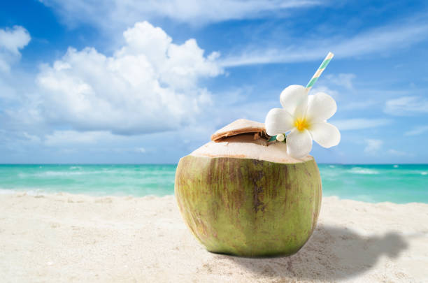 istock Summer vacations landscape banner illustration 1219731743