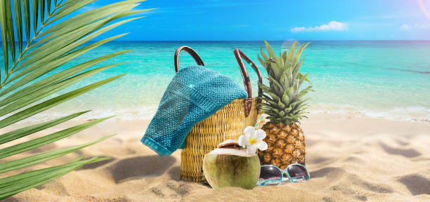 istock Summer vacations landscape banner illustration 1219731753