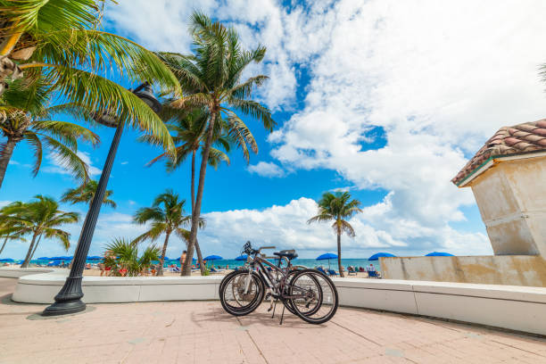 istock Bicycles parked in Fort Lauderdale sea front 1219732110