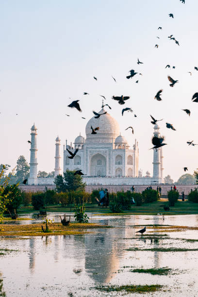 istock Taj Mahal seen from Mehtab Bagh 1219732854