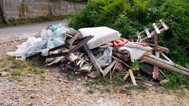 istock Garbage dumped: boards, mattress, comforter, plastic bags full of garbage 1219732893