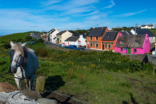 A white horse with colorful houses in the background in the green Irish countryside
