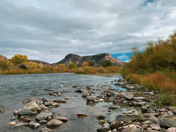 рио-гранде роки-ривер кровать - rio grande new mexico river valley стоковые фото и изображения