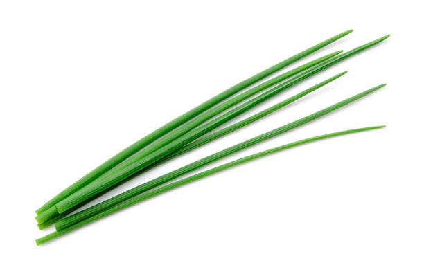 istock Chives isolated. Young green onion. 1219737099