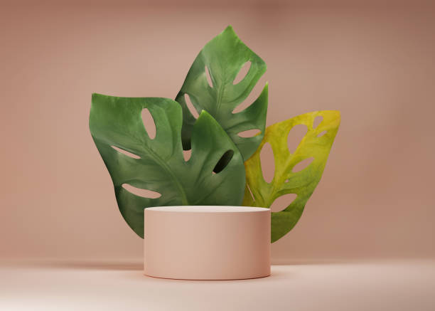 istock 3D podium display with monstra deliciosa and frosted glass copy space. Minimal beige background with pedestal and green plant leaves. Trendy natural product promotion banner. Simple tropical 3d render 1219737366