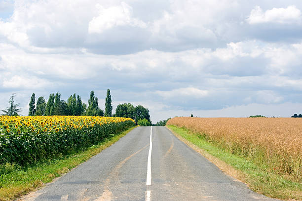 Countryside landscape in Burgundy, straight road Countryside landscape in Burgundy (Yonne, France) - Wheat and sunflowers and a straight road in the middle with blue sky and clouds at summer country road sky field cloudscape stock pictures, royalty-free photos & images