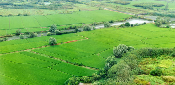 istock Aerial view of green fields 1219738111