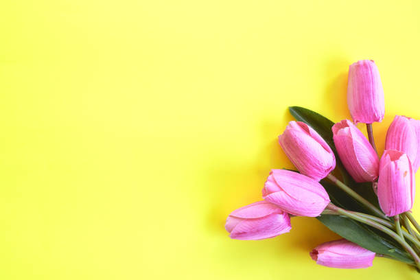 istock Pink tulips on a yellow background and copy space 1219738447