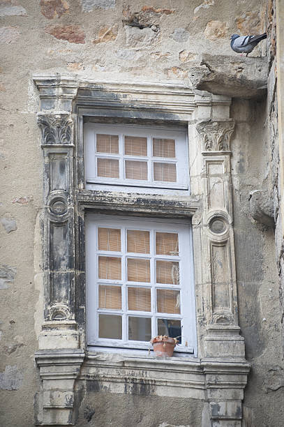istock Le Mans (Sarthe, France): Window of gothic palace with pigeon 121973862