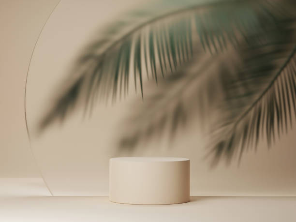 3D podium display on beige background with palm tree leaf. Tropical summer minimal holiday beauty product promotion pedestal platform mockup. Natural 3D render copy space banner trendy illustration
