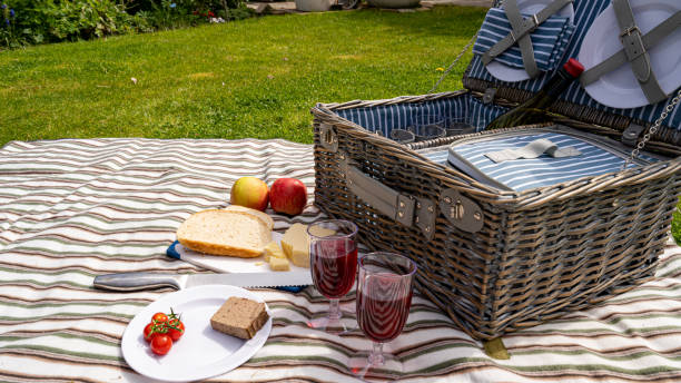 食べ物や飲み物と芝生の上に設定夏の日のピクニック - summers day ストックフォトと画像