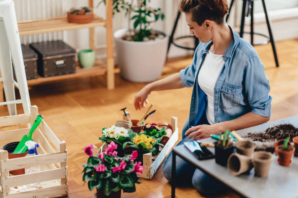 istock Woman preparing flowers for spring planting 1219745258