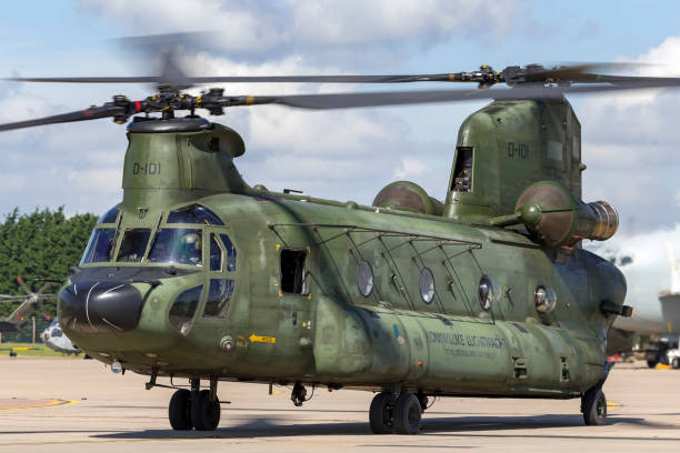 королевские ввс нидерландов (koninklijke luchtmacht) boeing ch-47d chinook двухмоторный тяжелый военный вертолет д-101. - military airplane helicopter military boeing vertol chinook стоковые фото и изображения