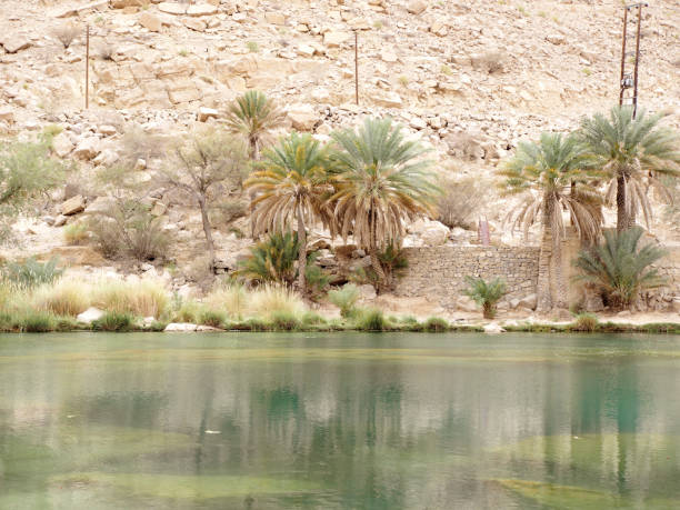 istock Fresh water pool 