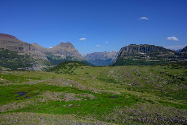 istock Looking Out of Logan Pass In Summer 1219749580