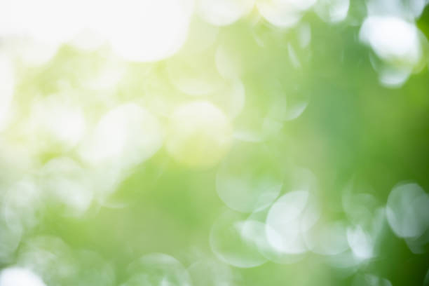 istock Abstract blurred out of focus and blurred green leaf background under sunlight with bokeh and copy space using as background natural plants landscape, ecology wallpaper concept. 1219749929