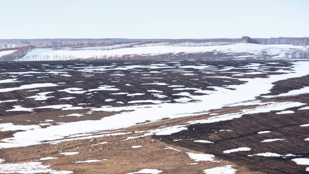 istock Early spring. Landscape of early spring, snow begins to melt, fields open. 1219750127