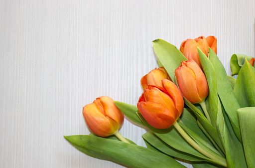 bunch of orange tulips with green leaf on wooden background, top view. Spring fresh time. Free copy space.