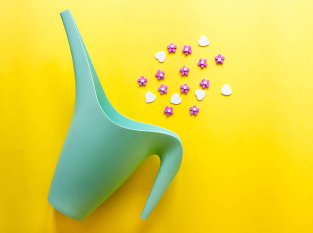 istock spring creative composition in minimal style. pink Marguerite daisy flowers and small watering can on light yellow background. Gardening concept, top view 1219752466