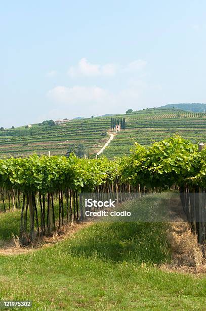 Foto de Lessinia Vinhedos Próximos Soave No Verão e mais fotos de stock de Agricultura