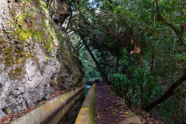 istock Typical levada with mountain wall on one side and trees and plants on the other 1219753442