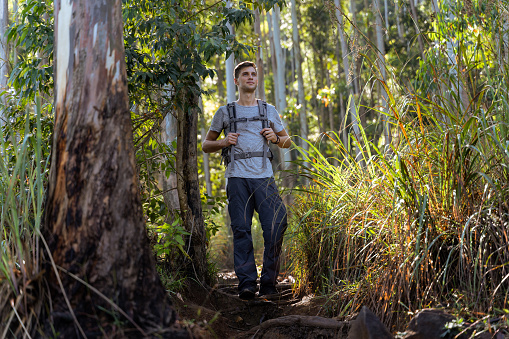 adventurous young adult walks in the green forest in Ella, Sri Lanka