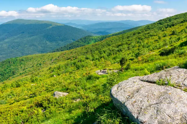 Photo of beautiful summer landscape in mountains