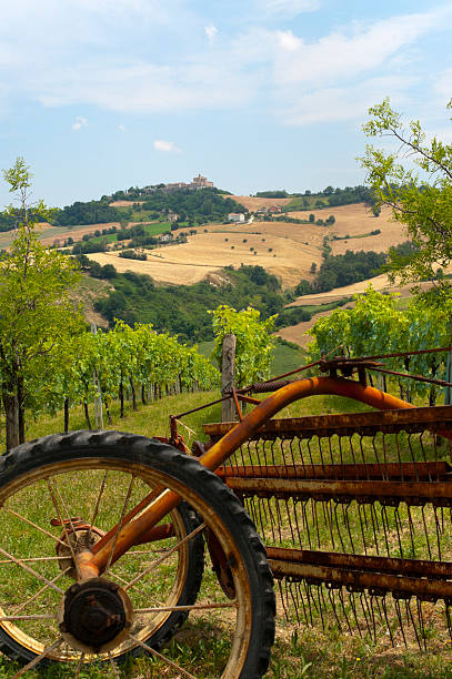 istock Marches (Italy) - Landscape at summer: vineyards and old plough 121975669