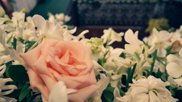 istock Rose close up at night beautiful romantic 1219757655