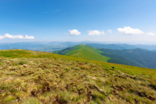 istock alpine scenery of carpathian mountains 1219758546