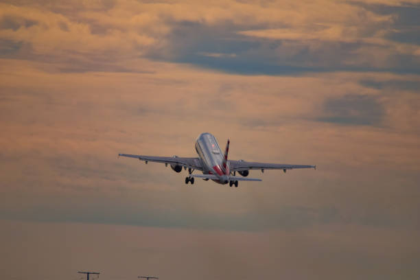 An American Airlines A319 taking off An American Airlines A319 taking off at Dallas Fort Worth International Airport into the dusk time sky austin airport stock pictures, royalty-free photos & images