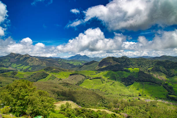 istock Munnar Valley, Kerala, India 1219760815