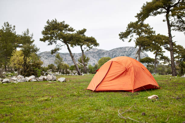 istock orange tent in the forest 1219764614