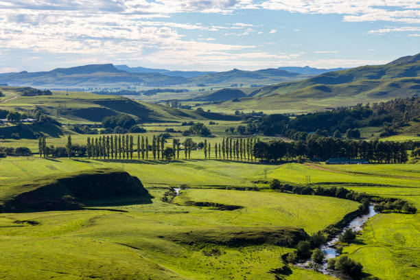 istock River zig-zag in green valley with trees lining the road 1219764887