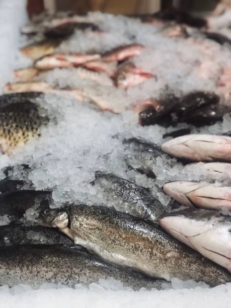 istock Fish on ice on fish market 1219767265