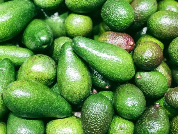 istock Avocado harvest for food patterns 1219767815