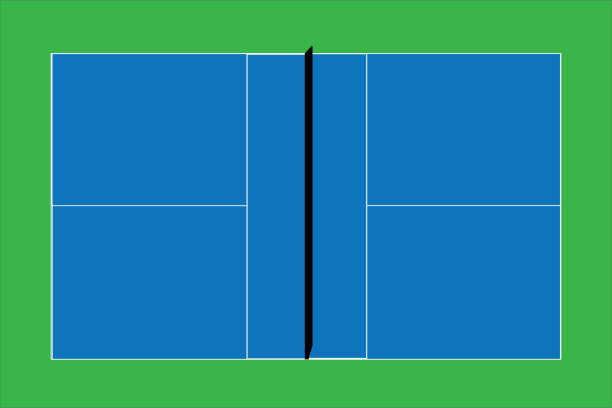 ilustrações de stock, clip art, desenhos animados e ícones de recreational sport of pickleball court in usa looking at an empty blue vector court and green grass background. - tennis indoors court ball