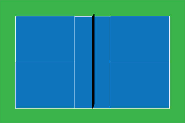 рекреационный спорт pickleball суд в сша глядя на пустой синий вектор суд и зеленая трава фоне. - pickleball stock illustrations