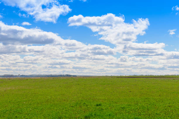 istock Summer landscape with green field and blue sky with clouds 1219769181