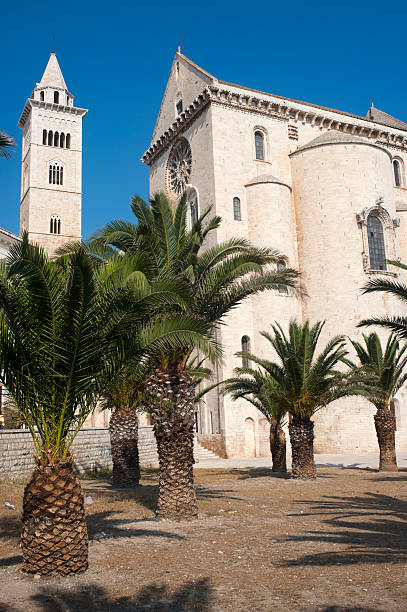 istock Trani (Puglia, Italy) - Medieval cathedral and palm trees 121977238