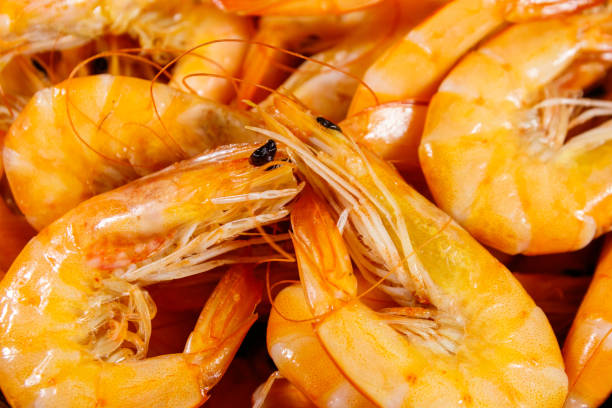Close-up of fresh raw shrimps. Food background Close-up of fresh raw shrimps. Food background food state preparation shrimp prepared shrimp stock pictures, royalty-free photos & images